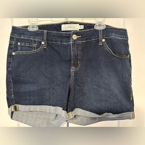 Torrid 5 Inch Vintage Stretch Mid-Rise Short (Size 16)